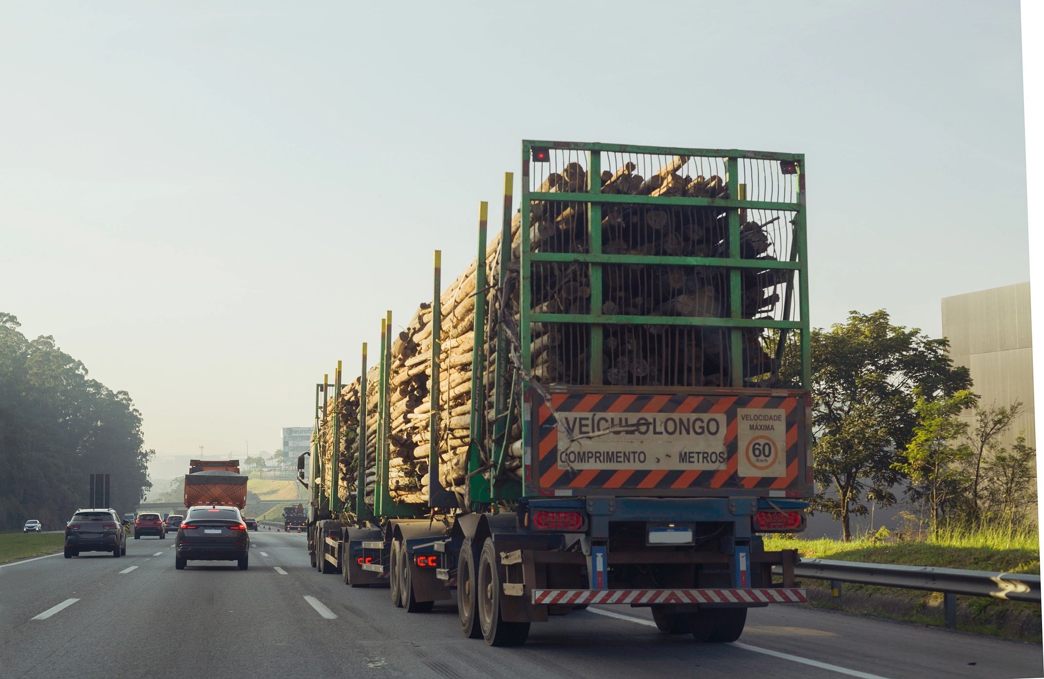 Caminhão de carga transportando madeira em rodovia